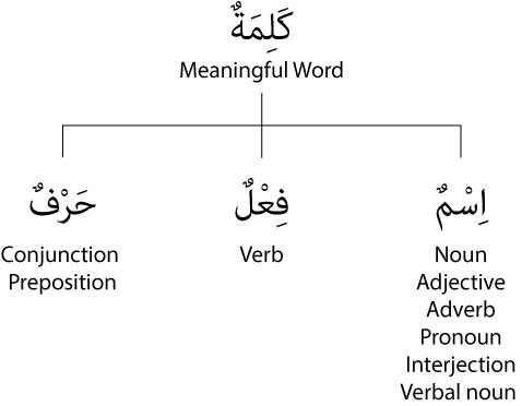 Nouns - Definition, Types and Rules with Examples in English Grammar